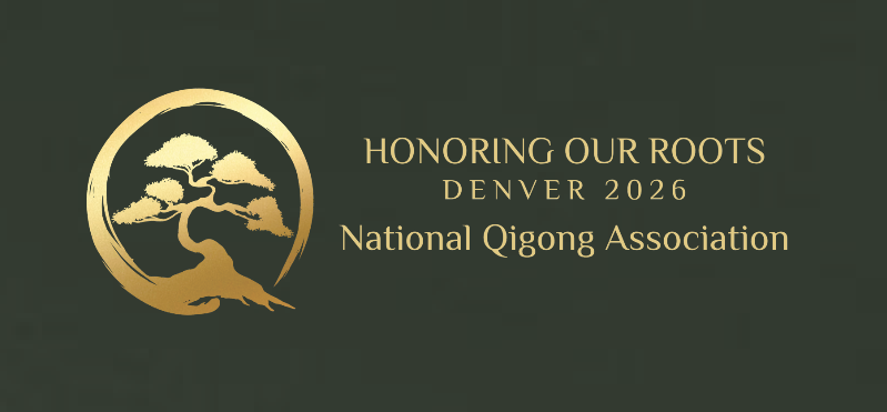 National Qigong Association Unisex Softstyle® T-Shirt - 64000